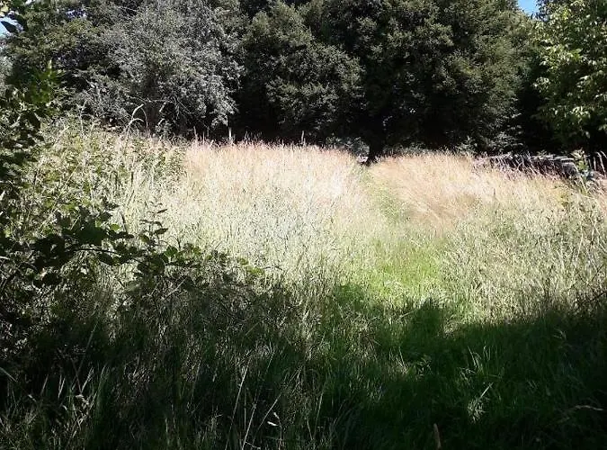 Séjour chez l'habitant Chez Céline