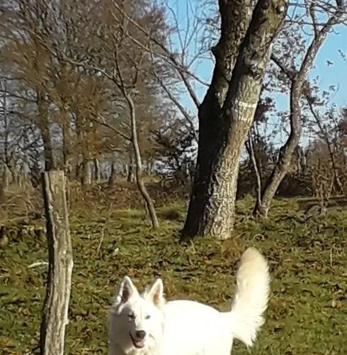 Séjour chez l'habitant Chez Céline